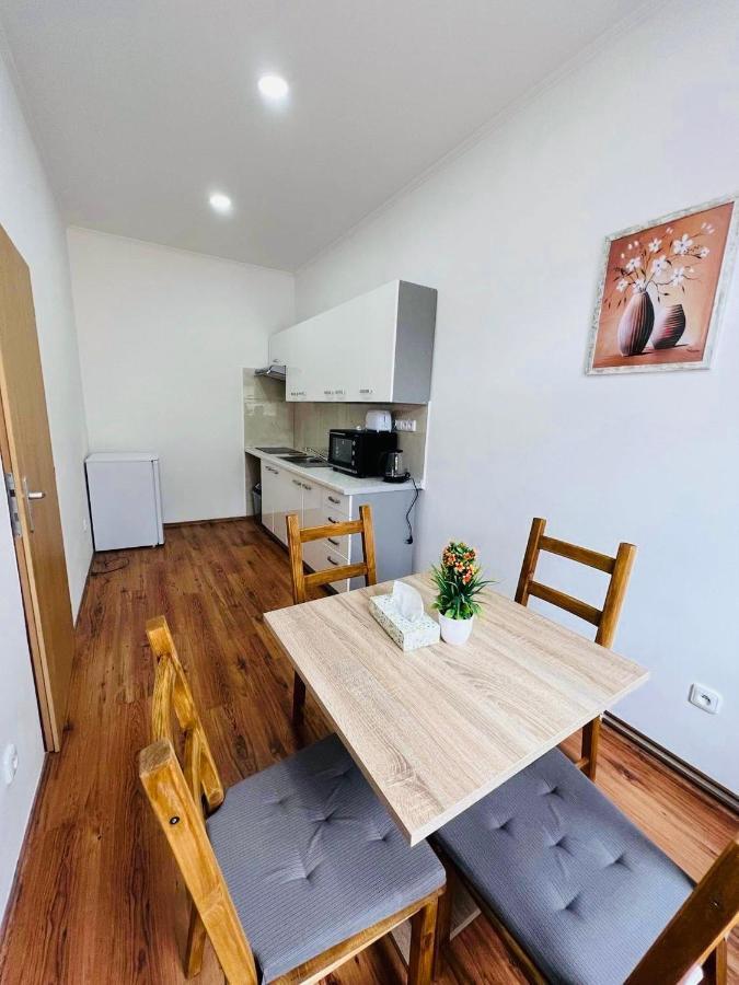 Apartment Erika Karlovy Vary Kültér fotó